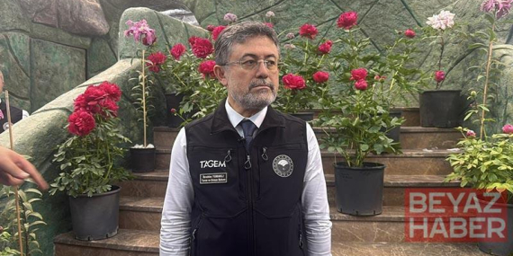 Yalova