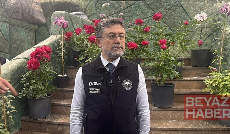 Yalova