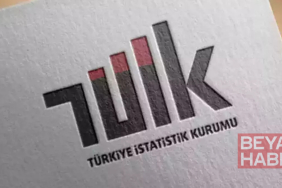 TÜİK: Sanayi, inşaat, ticaret ve hizmet sektörlerinde toplam ciro martta arttı