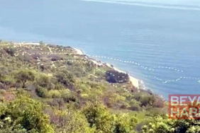 Gökyüzünü süsleyen pelikanların geçişi kamerada
