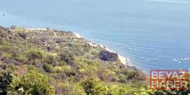 Gökyüzünü süsleyen pelikanların geçişi kamerada