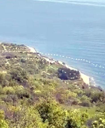 Gökyüzünü süsleyen pelikanların geçişi kamerada