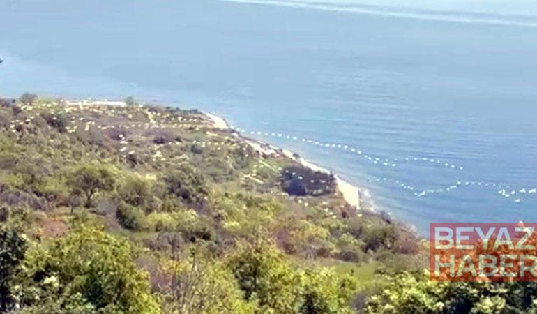 Gökyüzünü süsleyen pelikanların geçişi kamerada