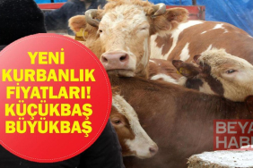 KURBANLIK FİYATLARI 2026: Büyükbaş Küçükbaş Kurbanlık ve Hisse Fiyatları Ne? Bu Yıl Kurbanlıklar Ne Kadar?