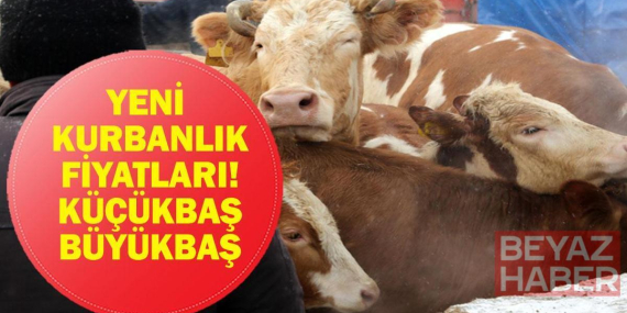 KURBANLIK FİYATLARI 2026: Büyükbaş Küçükbaş Kurbanlık ve Hisse Fiyatları Ne? Bu Yıl Kurbanlıklar Ne Kadar?