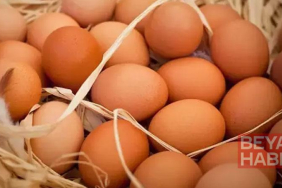 TÜİK: Yumurta ve tavuk eti üretimi arttı, içme sütü üretimi azaldı