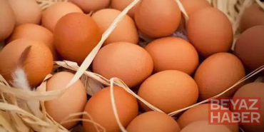 TÜİK: Yumurta ve tavuk eti üretimi arttı, içme sütü üretimi azaldı