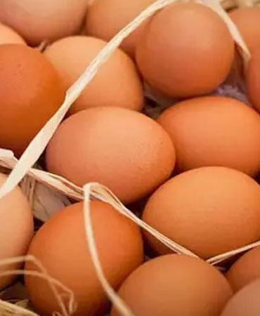 TÜİK: Yumurta ve tavuk eti üretimi arttı, içme sütü üretimi azaldı