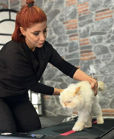 18 yaşındaki kediye fizyoterapi desteği