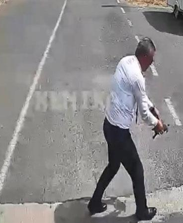 Otobüsü durdurup kaplumbağayı ezilmekten kurtardı