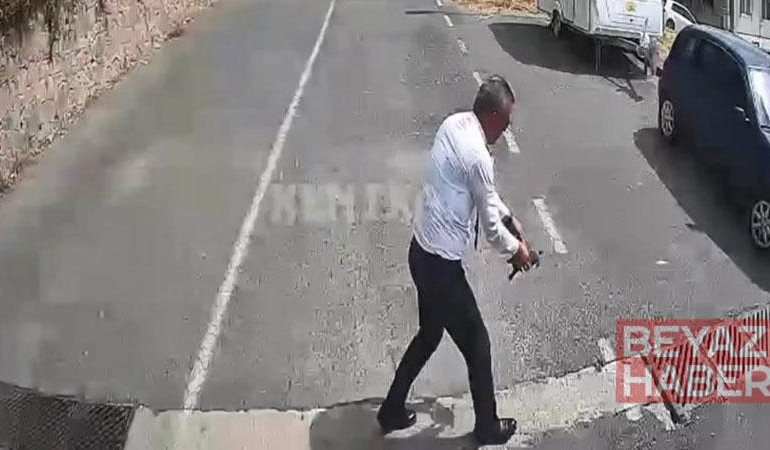 Otobüsü durdurup kaplumbağayı ezilmekten kurtardı