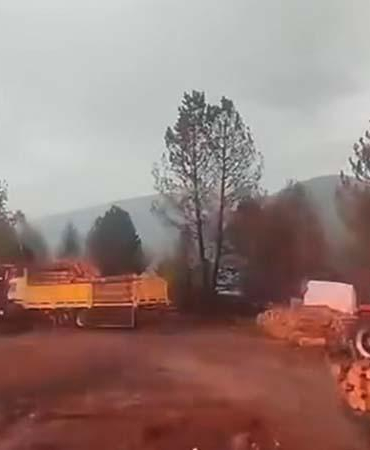 Orman işçilerinin yakınına yıldırım düştü; o anlar kamerada