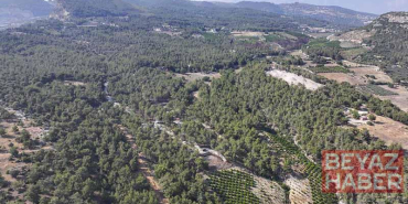 Mersin’de ormanlık alanlara giriş yasaklandı