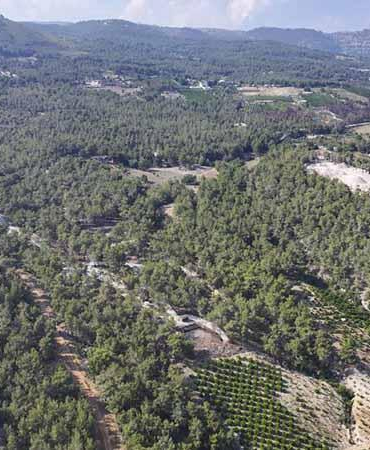 Mersin’de ormanlık alanlara giriş yasaklandı