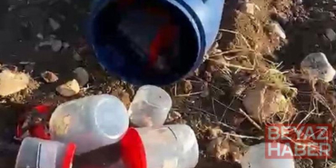 Mezarlıktaki plastik varilde 21 insan cenini bulundu