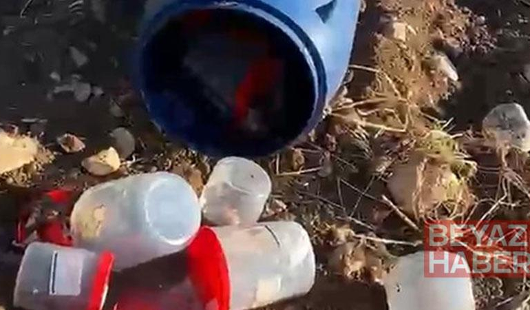 Mezarlıktaki plastik varilde 21 insan cenini bulundu