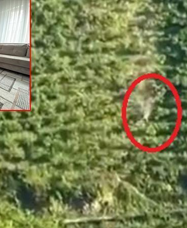 Taklalar atan kamyonetten sağ çıkan Yıldız: