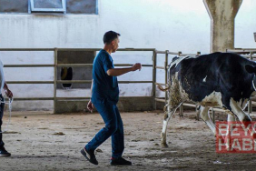 Hayvan yakalama timi, kaçan kurbanlıklar için göreve hazır