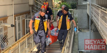 Avcılar