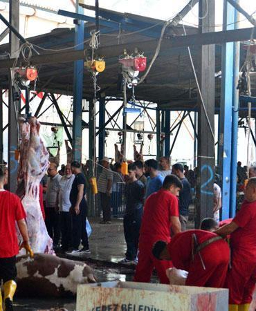 Sokakta kurban kesip, atıklarını gömenlere 29 bin 529 lira ceza