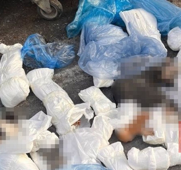 ’33 ölü kedi’ vahşetinde yeni gelişme: Serbest bırakılan veteriner hekim gözaltına alındı