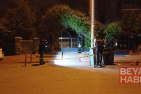 Darbedilen kadına yardım eden 2 kardeş bıçakla yaralandı