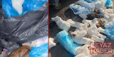 İzmir’de 33 kedinin ölü bulunduğu olayda yeniden gözaltına alınan veteriner tutuklandı