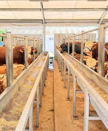 İstanbul İl Sağlık Müdürü Güner: Kurban kesimi sırasında 869 kişi yaralandı