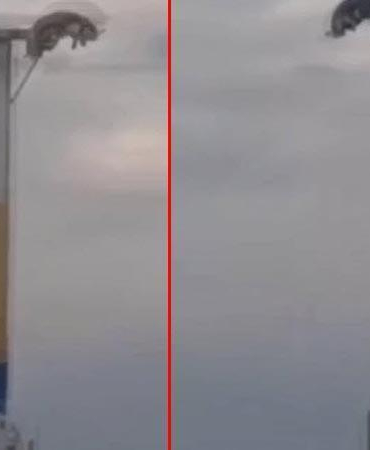 Lunaparkta arızalanan oyuncakta baş aşağı mahsur kaldılar