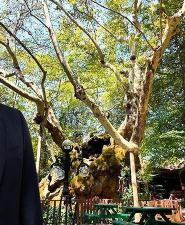 Bakan Kurum, koruma altındaki anıt ağacın hikayesini paylaştı