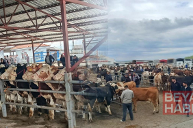 Pazarda hareketlilik sürüyor: Dev kurbanlığın fiyatı dudak uçuklattı