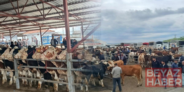 Pazarda hareketlilik sürüyor: Dev kurbanlığın fiyatı dudak uçuklattı
