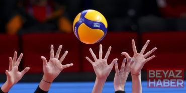 Voleybol, Türkiye'nin en başarılı branşı seçildi
