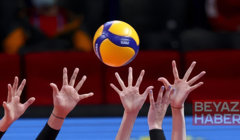Voleybol, Türkiye'nin en başarılı branşı seçildi