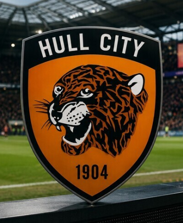 Hull City, Premier Lig'e yükseldi
