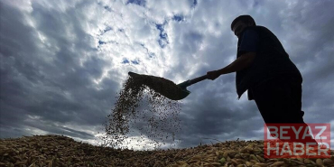 Yaklaşık 6,5 milyar lira tarımsal destekleme ödemesi bugün yapılacak
