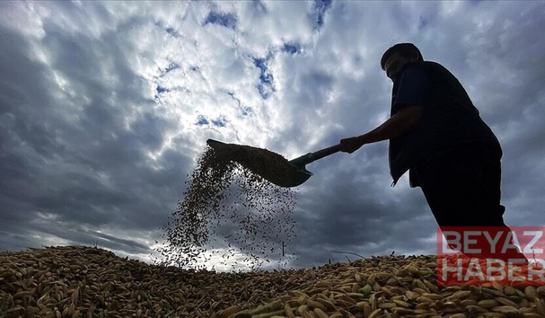 Yaklaşık 6,5 milyar lira tarımsal destekleme ödemesi bugün yapılacak