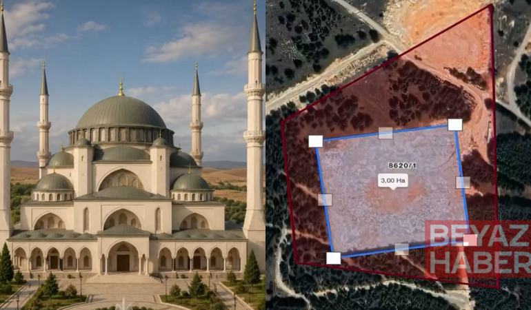 “Dünyanın en büyük camisi” denmişti: Yüzlerce ağaç kesildi, ortada inşaat yok