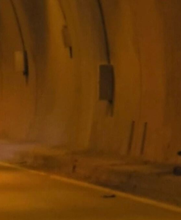 Tünele giren ayı trafiği birbirine kattı