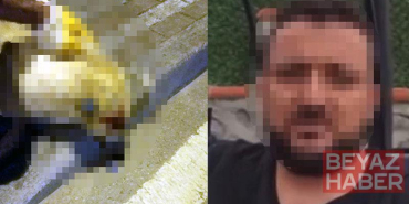Oğlunu ısıran köpeği öldüren kişiye verilen beraat kararını istinaf bozdu