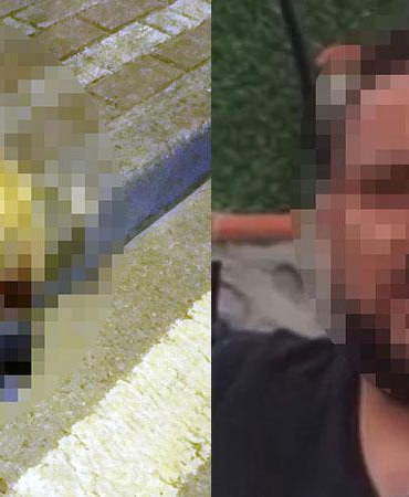 Oğlunu ısıran köpeği öldüren kişiye verilen beraat kararını istinaf bozdu