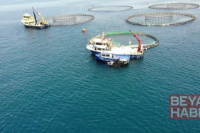 TÜİK: Su ürünleri üretimi 2025 yılında yüzde 11,1 arttı