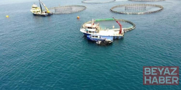 TÜİK: Su ürünleri üretimi 2025 yılında yüzde 11,1 arttı