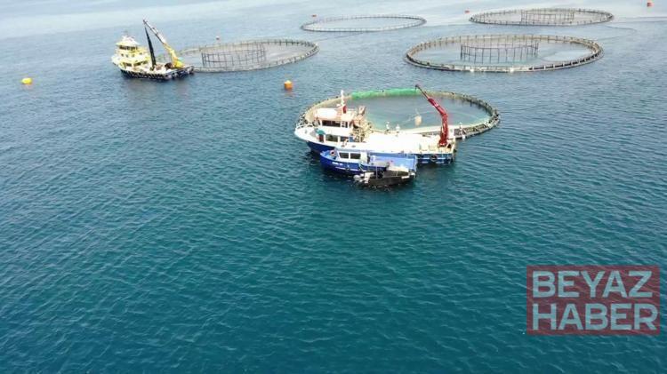 TÜİK: Su ürünleri üretimi 2025 yılında yüzde 11,1 arttı