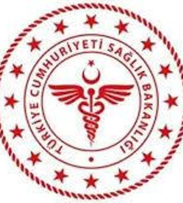 Sağlık Bakanlığı: Yüzme alanlarının yüzde 93
