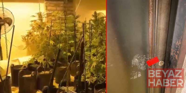 Kağıthane’de koku gelen eve operasyon: Seraya çevirmişler; 30 milyon lira değerinde uyuşturucu bulundu