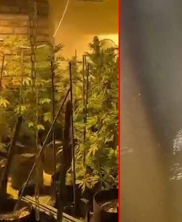 Kağıthane’de koku gelen eve operasyon: Seraya çevirmişler; 30 milyon lira değerinde uyuşturucu bulundu