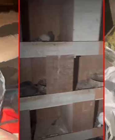 Kağıthane’de kuş kümesine uyuşturucu operasyonu: Teraziyi fazla yem vermemek için kullanıyorum