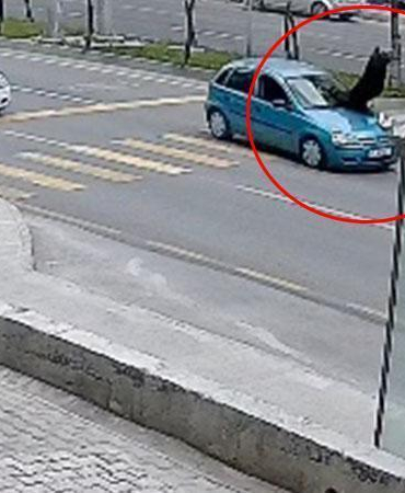 Otomobilin çarptığı yaya yaşam mücadelesi veriyor, sürücü serbest