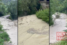 Şiddetli yağışın ardından dereler taştı, tarım arazileri su altında kaldı